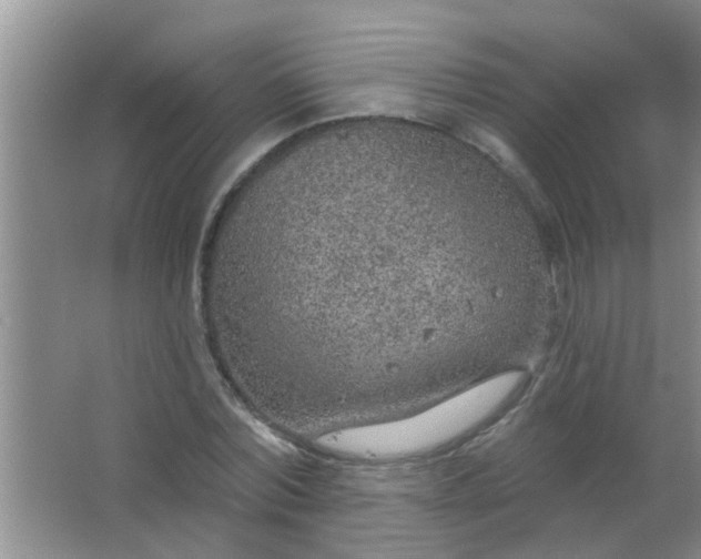 X0000063450780200602031807