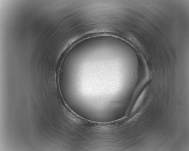 X0000063450781200602031807