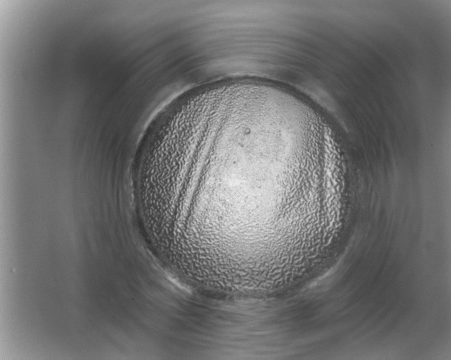 X0000063450782200602031807