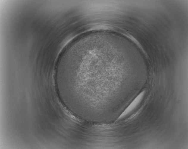 X0000063450783200602031807