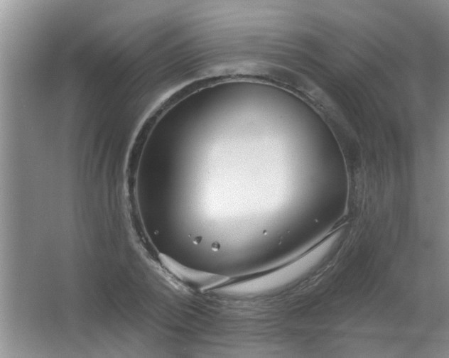 X0000063450784200602031807