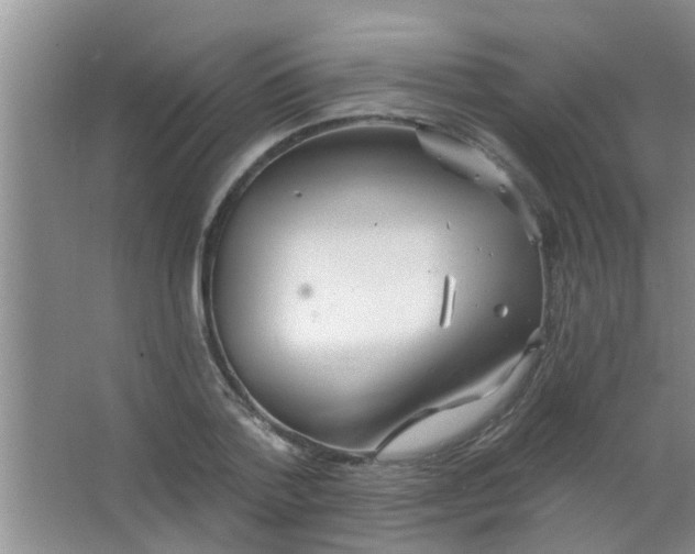 X0000063450788200602031807