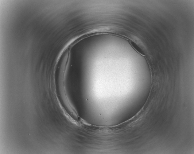 X0000063450792200602031806