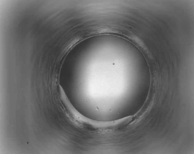 X0000063450793200602031806