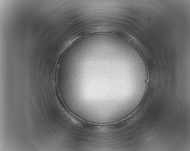 X0000063450794200602031806