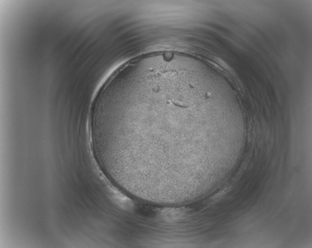 X0000063450796200602031806