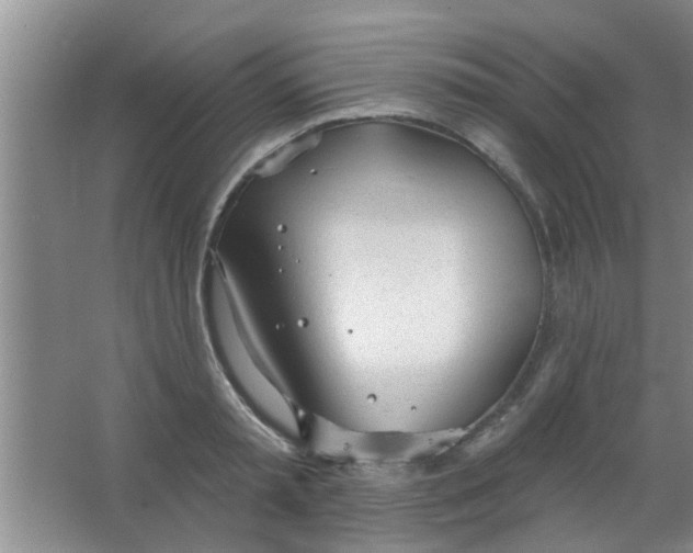 X0000063450797200602031806