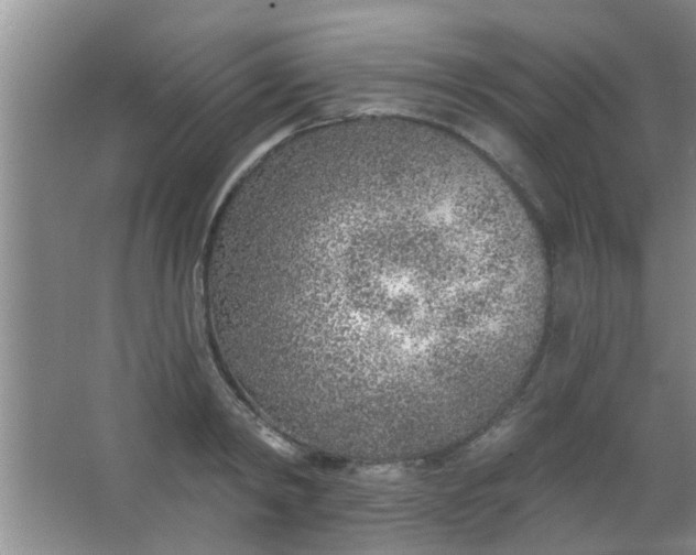 X0000063450798200602031806