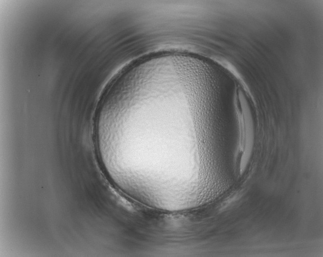 X0000063450799200602031806