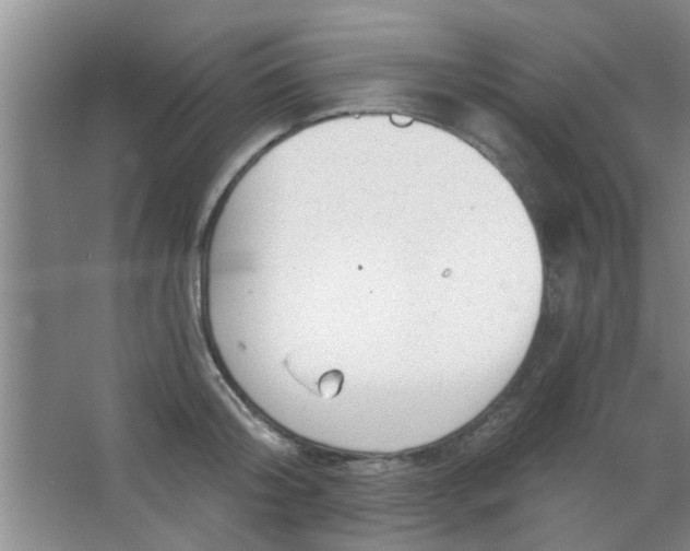 X0000063450804200602031806