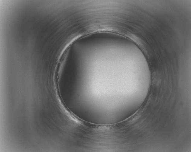 X0000063450806200602031806