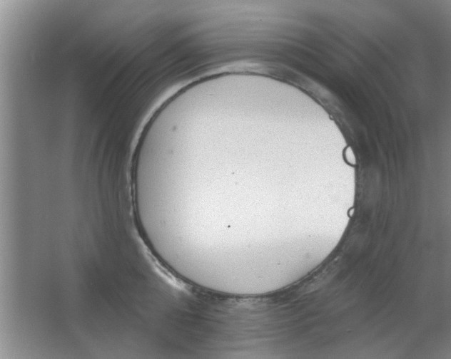 X0000063450808200602031806