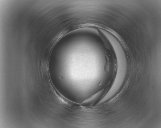 X0000063450809200602031806