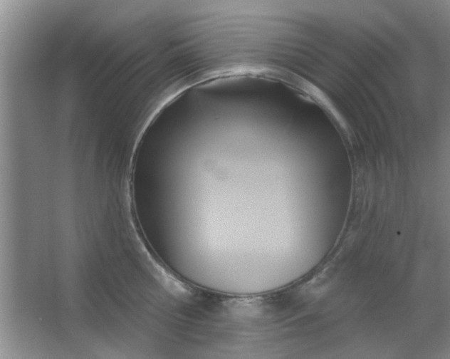 X0000063450810200602031806