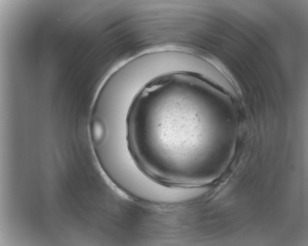 X0000063450813200602031806