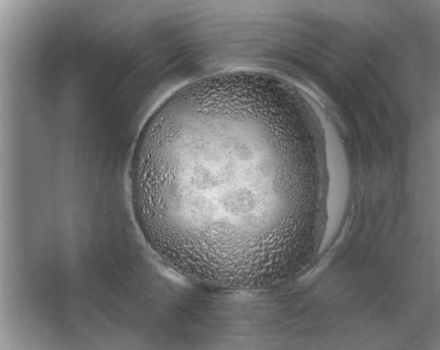 X0000063450814200602031806