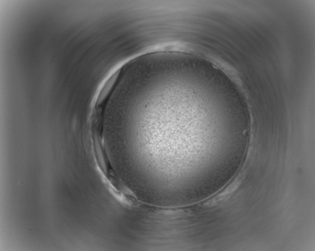 X0000063450816200602031806