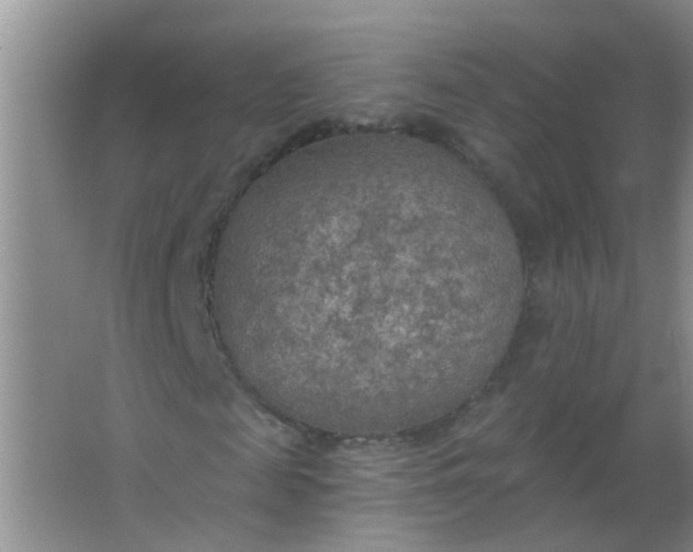 X0000063450817200602031805