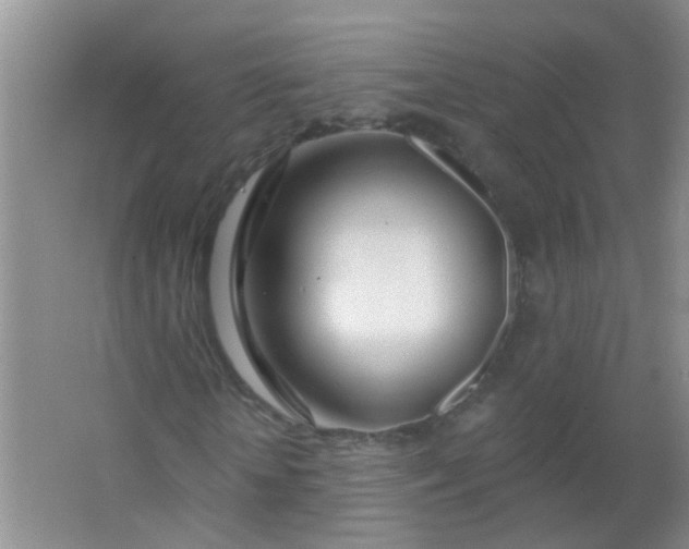 X0000063450818200602031805