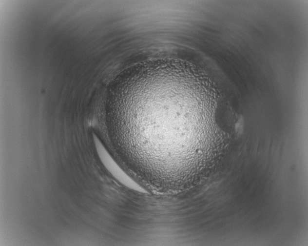 X0000063450819200602031805