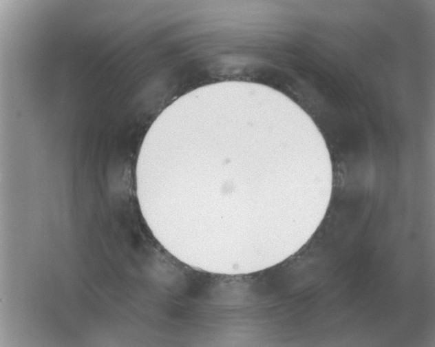 X0000063450820200602031805