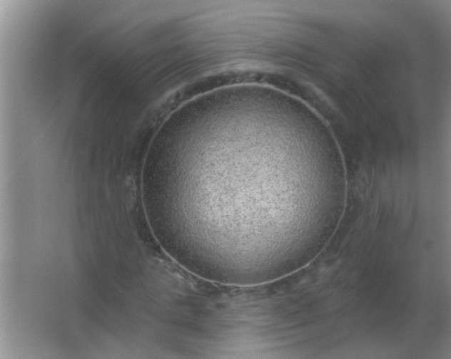 X0000063450821200602031805