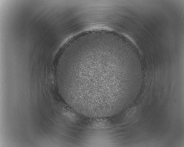 X0000063450823200602031805