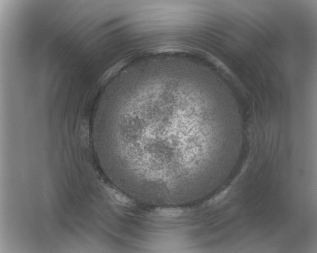 X0000063450825200602031805