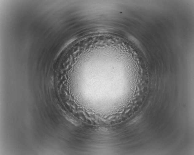 X0000063450827200602031805