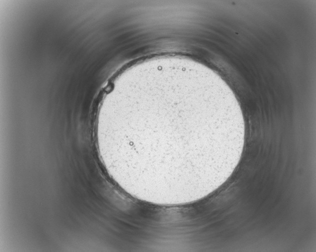 X0000063450828200602031805