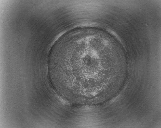 X0000063450829200602031805