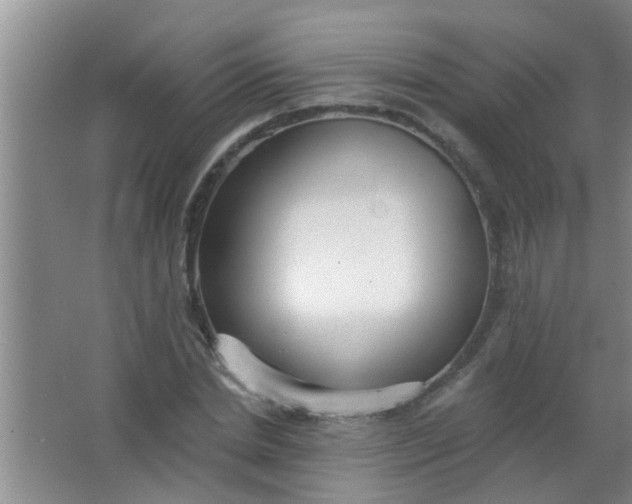 X0000063450830200602031805