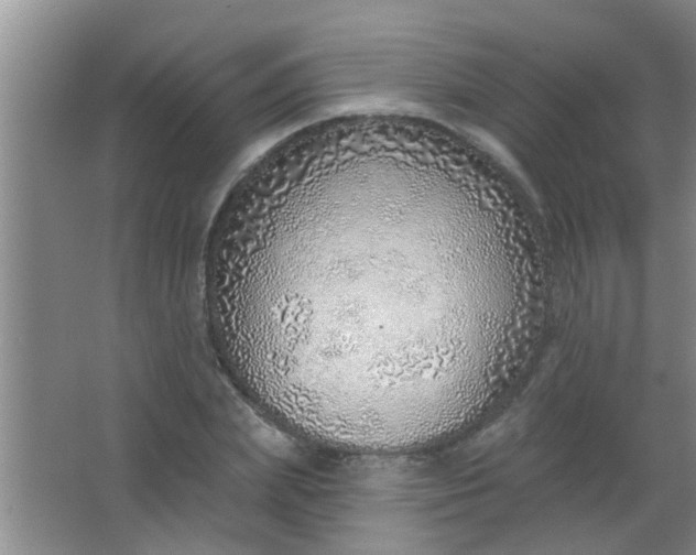 X0000063450831200602031805