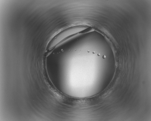 X0000063450834200602031806