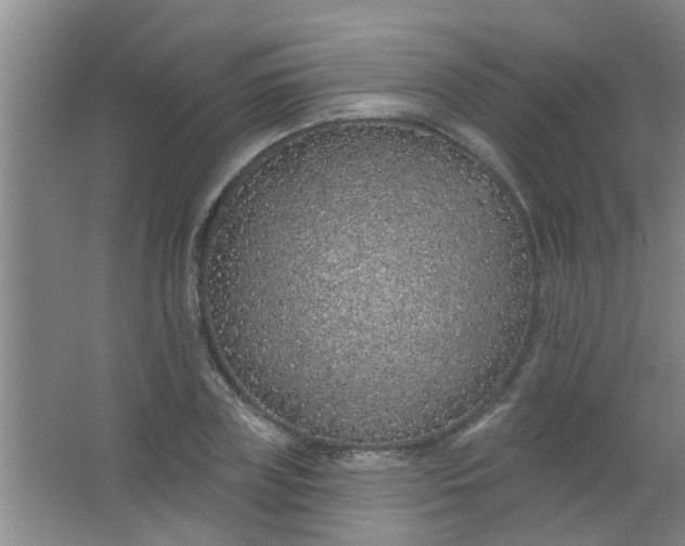 X0000063450835200602031806