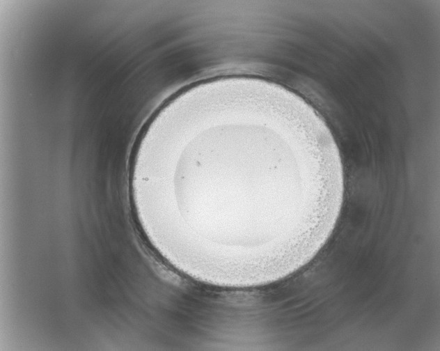 X0000063450836200602031806