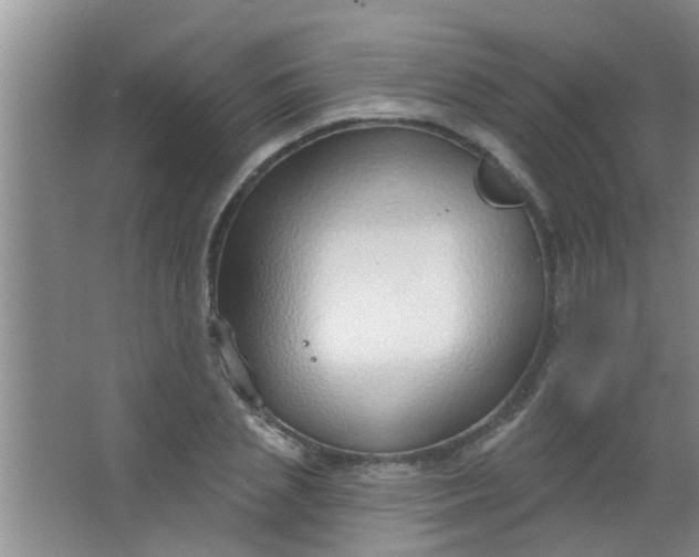 X0000063450837200602031806