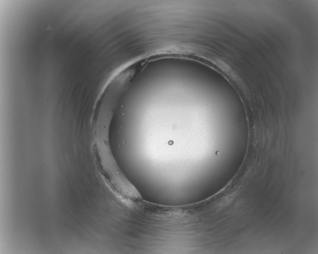 X0000063450838200602031806