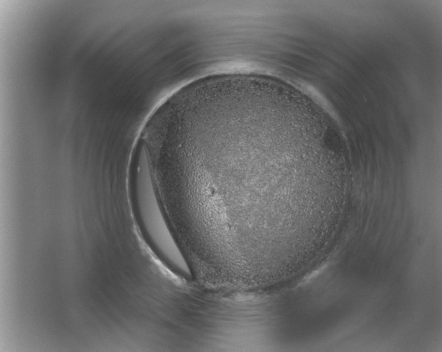 X0000063450839200602031806