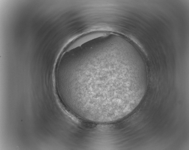 X0000063450840200602031806