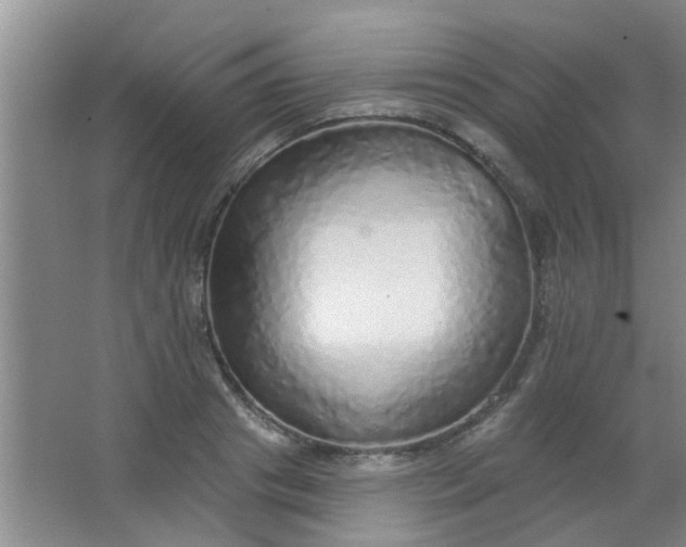 X0000063450841200602031806