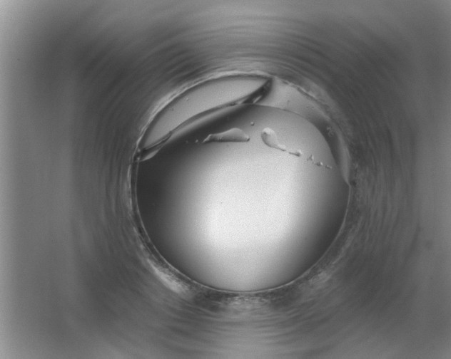 X0000063450842200602031806