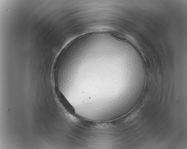 X0000063450843200602031806