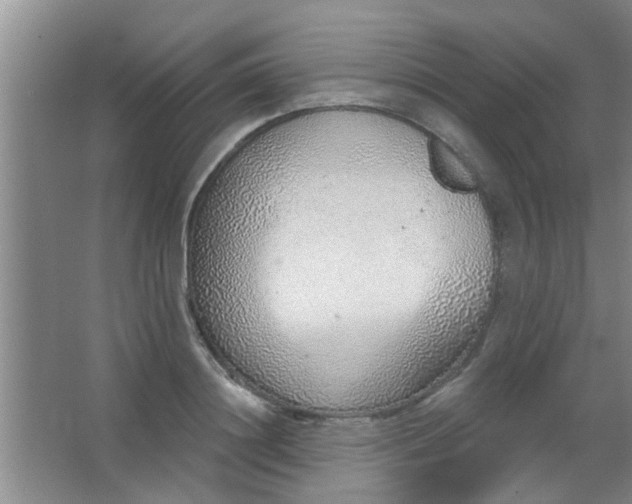 X0000063450844200602031806