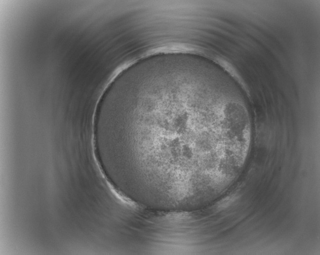 X0000063450845200602031806