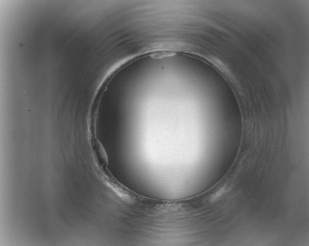 X0000063450846200602031806