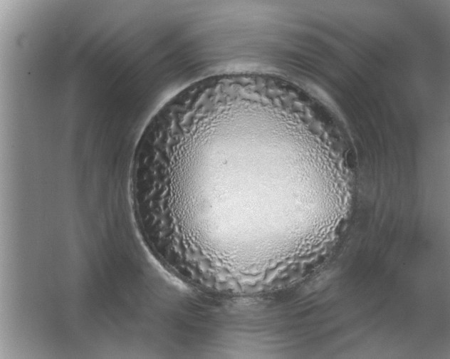 X0000063450847200602031806