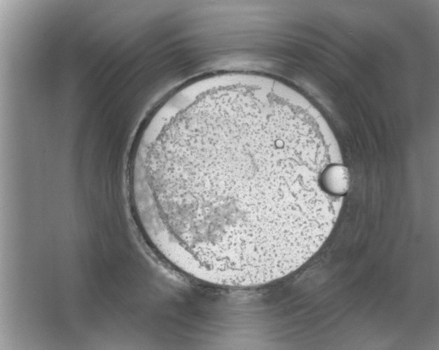 X0000063450848200602031806