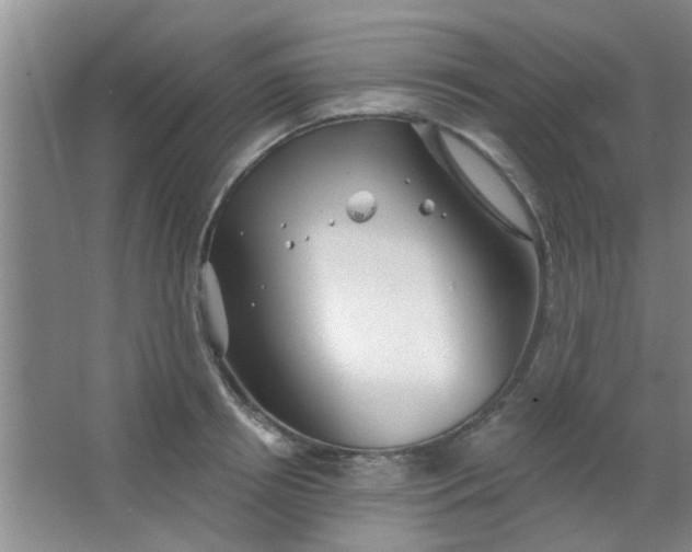 X0000063450850200602031806