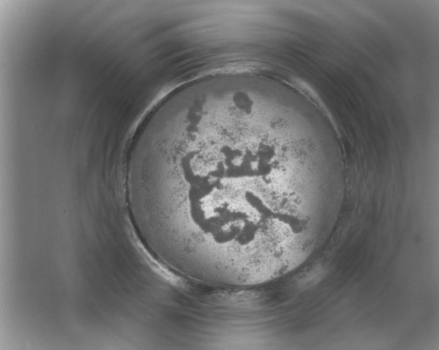 X0000063450851200602031806